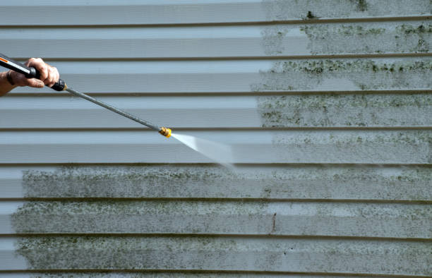 Best Residential Pressure Washing in Reinbeck, IA